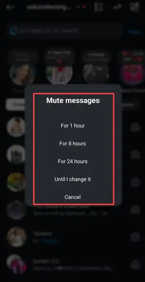 mute IG messages