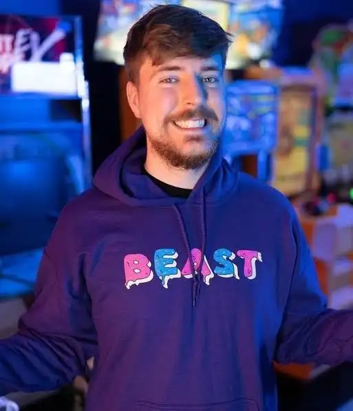 Mr Beast Insipration for youtubers