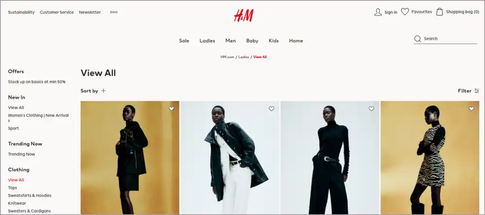 H&M Shopping Website like Shein